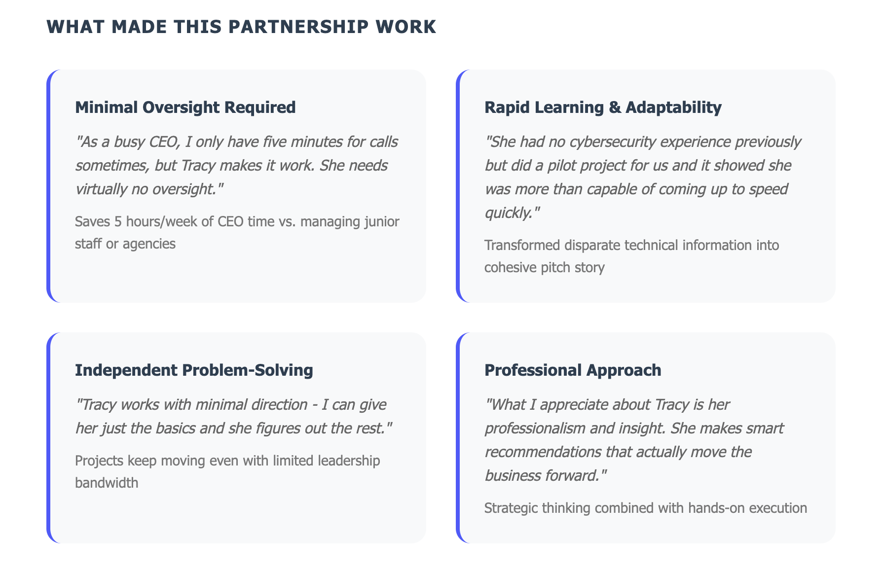 What made WireX Systems marketing partnership successful - minimal oversight, rapid learning, independent problem-solving, professional approach